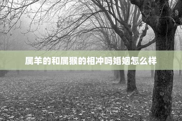 属羊的和属猴的相冲吗婚姻怎么样