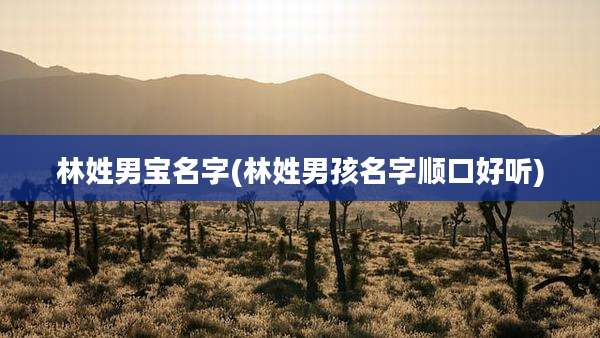 林姓男宝名字(林姓男孩名字顺口好听)