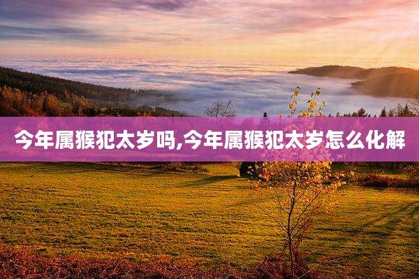 今年属猴犯太岁吗,今年属猴犯太岁怎么化解