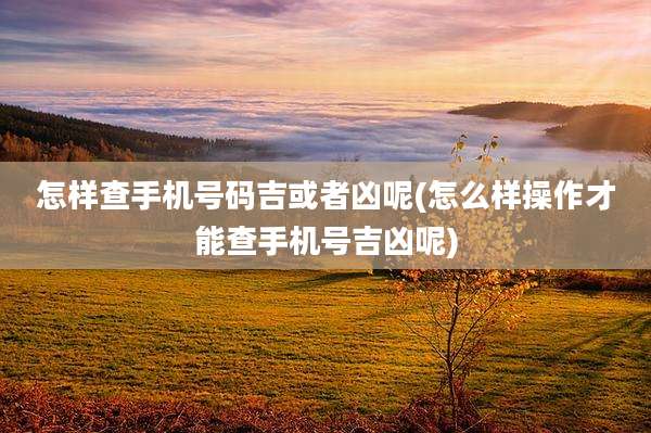 怎样查手机号码吉或者凶呢(怎么样操作才能查手机号吉凶呢)