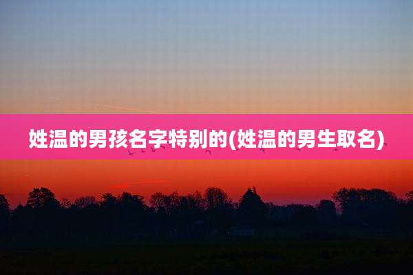姓温的男孩名字特别的(姓温的男生取名)