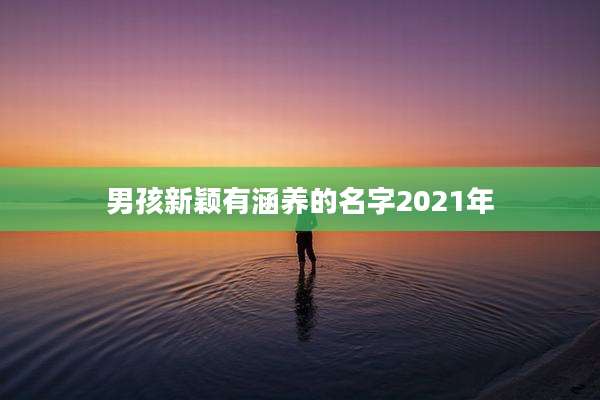男孩新颖有涵养的名字2021年