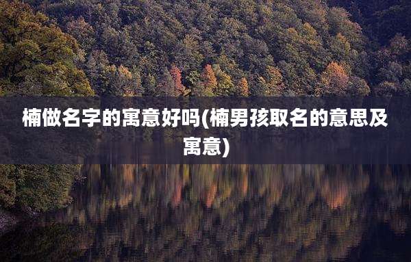 楠做名字的寓意好吗(楠男孩取名的意思及寓意)