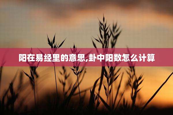 阳在易经里的意思,卦中阳数怎么计算