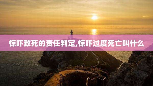 惊吓致死的责任判定,惊吓过度死亡叫什么