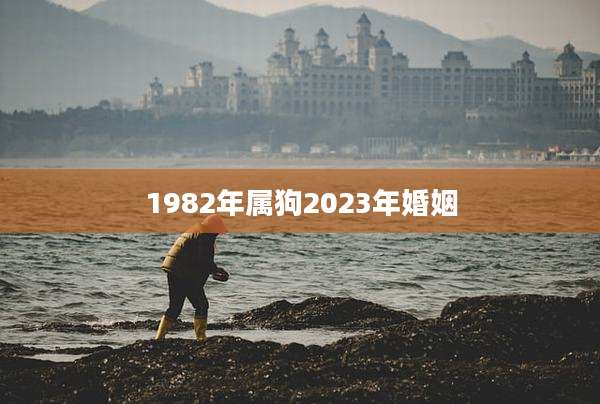 1982年属狗2023年婚姻