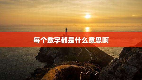 每个数字都是什么意思啊