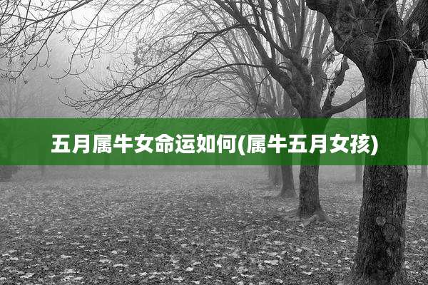 五月属牛女命运如何(属牛五月女孩)