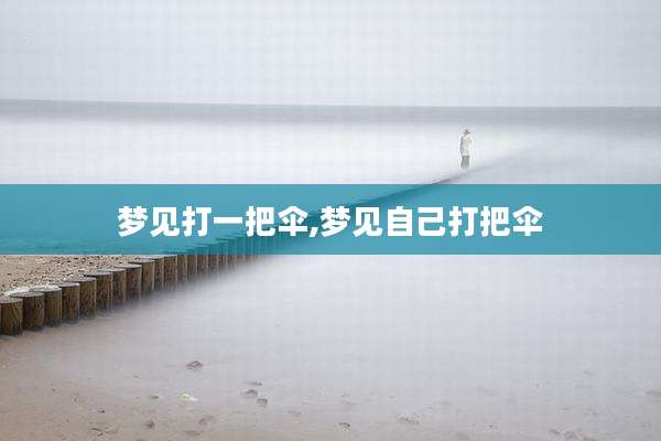 梦见打一把伞,梦见自己打把伞
