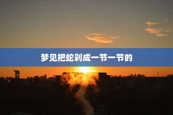 梦见把蛇剁成一节一节的