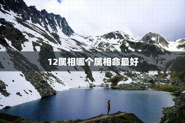 12属相哪个属相命最好