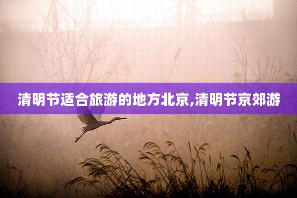 清明节适合旅游的地方北京,清明节京郊游