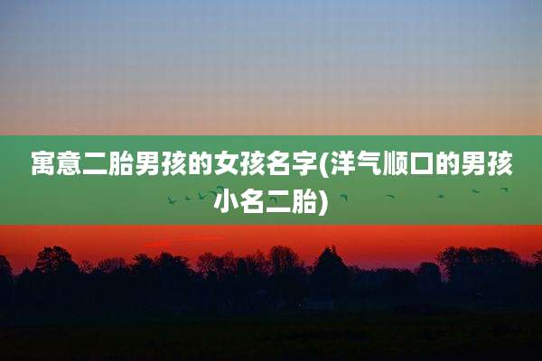 寓意二胎男孩的女孩名字(洋气顺口的男孩小名二胎)