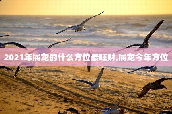 2021年属龙的什么方位最旺财,属龙今年方位