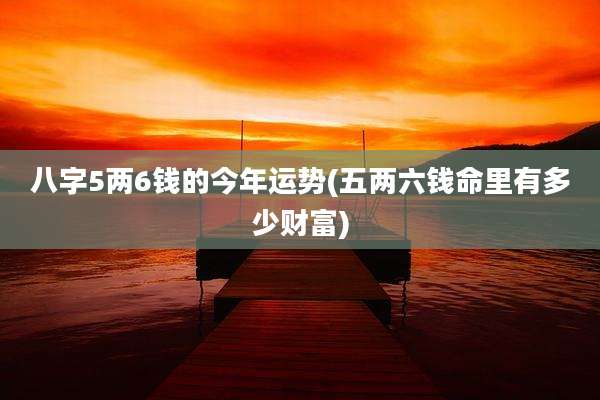 八字5两6钱的今年运势(五两六钱命里有多少财富)