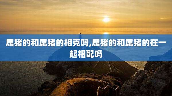 属猪的和属猪的相克吗,属猪的和属猪的在一起相配吗