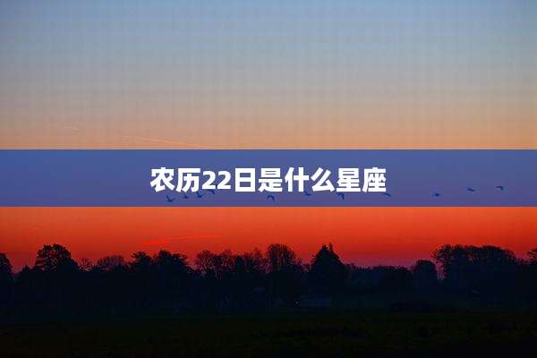农历22日是什么星座
