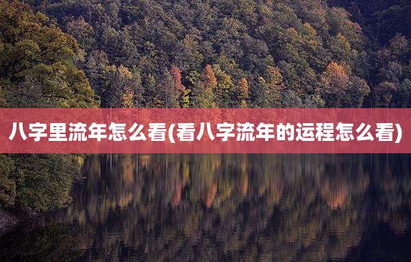 八字里流年怎么看(看八字流年的运程怎么看)