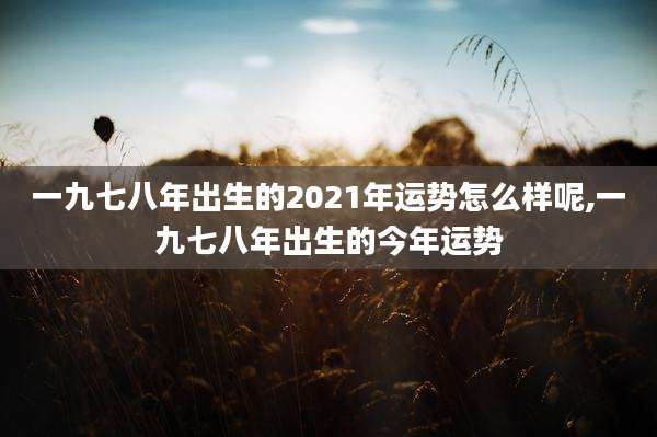 一九七八年出生的2021年运势怎么样呢,一九七八年出生的今年运势