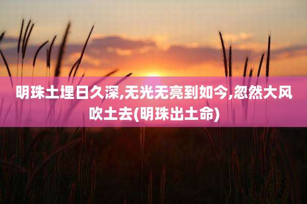 明珠土埋日久深,无光无亮到如今,忽然大风吹土去(明珠出土命)