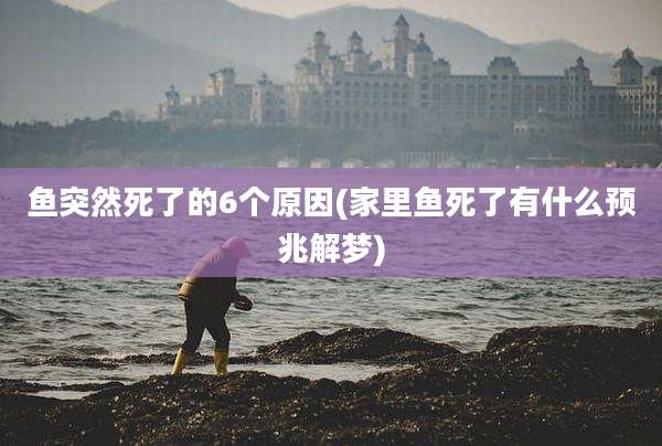鱼突然死了的6个原因(家里鱼死了有什么预兆解梦)