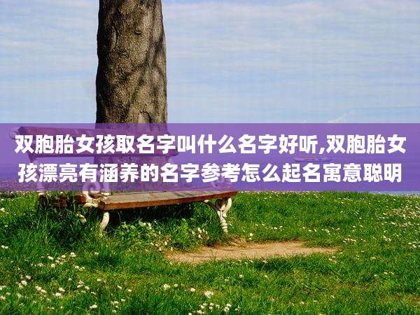 双胞胎女孩取名字叫什么名字好听,双胞胎女孩漂亮有涵养的名字参考怎么起名寓意聪明