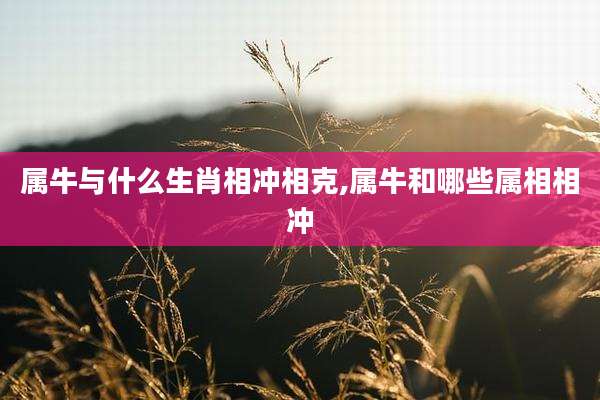 属牛与什么生肖相冲相克,属牛和哪些属相相冲