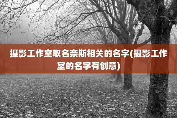 摄影工作室取名奈斯相关的名字(摄影工作室的名字有创意)