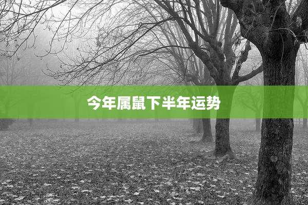 今年属鼠下半年运势