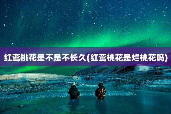 红鸾桃花是不是不长久(红鸾桃花是烂桃花吗)