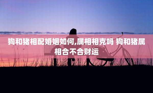 狗和猪相配婚姻如何,属相相克吗 狗和猪属相合不合财运