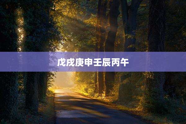 戊戌庚申壬辰丙午