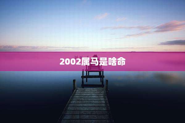 2002属马是啥命