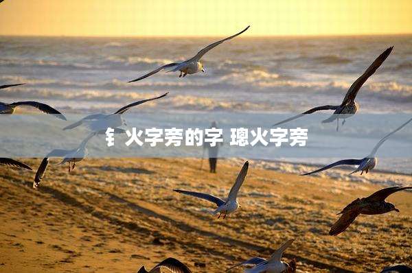 钅火字旁的字 璁火字旁
