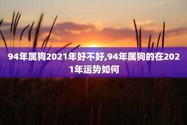 94年属狗2021年好不好,94年属狗的在2021年运势如何