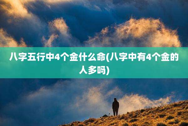 八字五行中4个金什么命(八字中有4个金的人多吗)