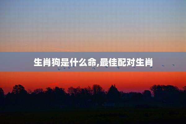 生肖狗是什么命,最佳配对生肖