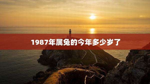 1987年属兔的今年多少岁了
