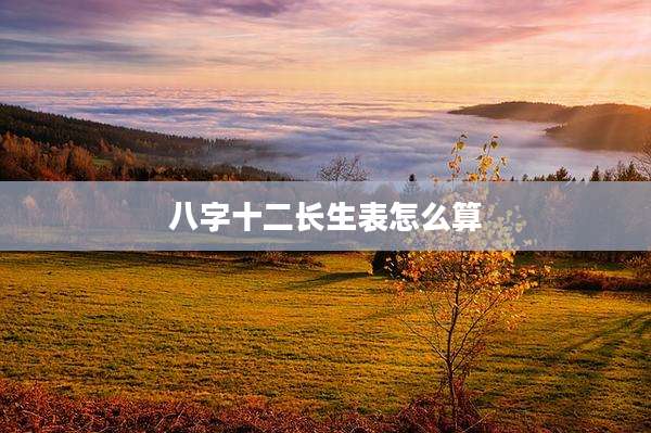 八字十二长生表怎么算