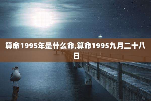算命1995年是什么命,算命1995九月二十八日