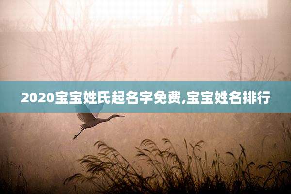 2020宝宝姓氏起名字免费,宝宝姓名排行