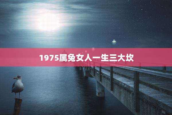 1975属兔女人一生三大坎