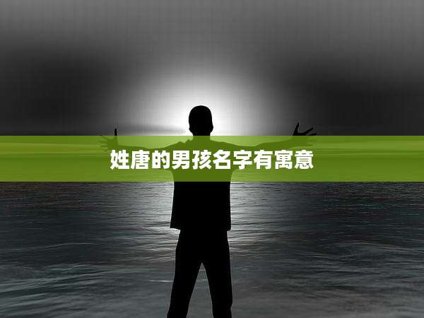 姓唐的男孩名字有寓意