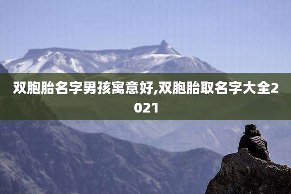双胞胎名字男孩寓意好,双胞胎取名字大全2021