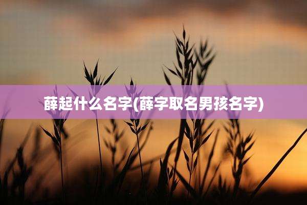 薛起什么名字(薛字取名男孩名字)