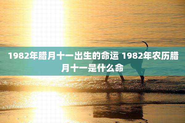 1982年腊月十一出生的命运 1982年农历腊月十一是什么命