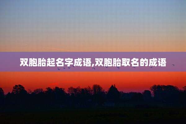双胞胎起名字成语,双胞胎取名的成语