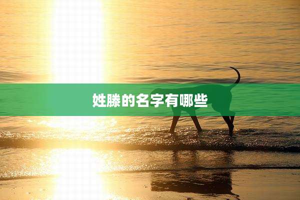姓滕的名字有哪些