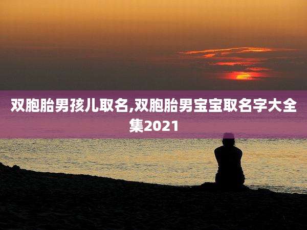 双胞胎男孩儿取名,双胞胎男宝宝取名字大全集2021
