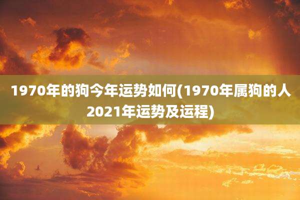 1970年的狗今年运势如何(1970年属狗的人2021年运势及运程)